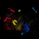 Explosion de color